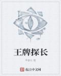 王牌探长章节列表
