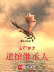 宝可梦之道馆继承人章节列表