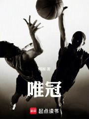 唯冠章节列表