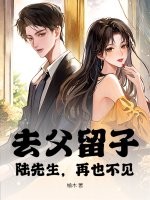 去父留子，陆先生，再也不见！章节列表