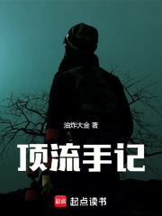 顶流手记章节列表